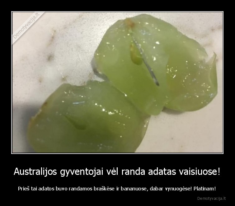 Australijos gyventojai vėl randa adatas vaisiuose! - Prieš tai adatos buvo randamos braškėse ir bananuose, dabar vynuogėse! Platinam!