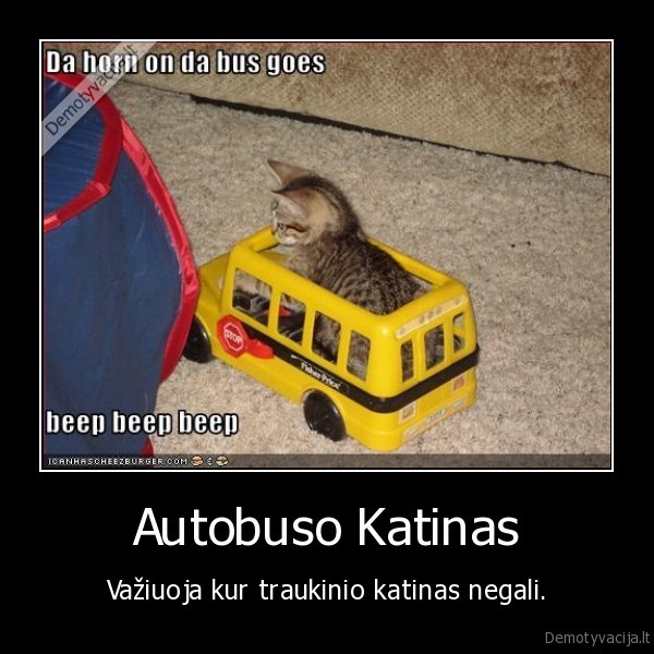 Autobuso Katinas - Važiuoja kur traukinio katinas negali.