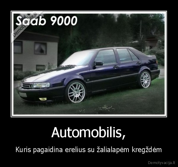 Automobilis, - Kuris pagaidina erelius su žalialapėm kregždėm