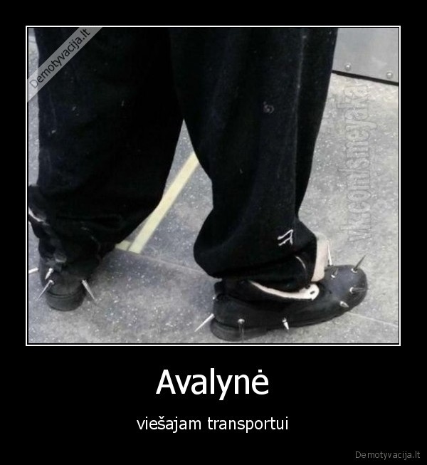 Avalynė - viešajam transportui