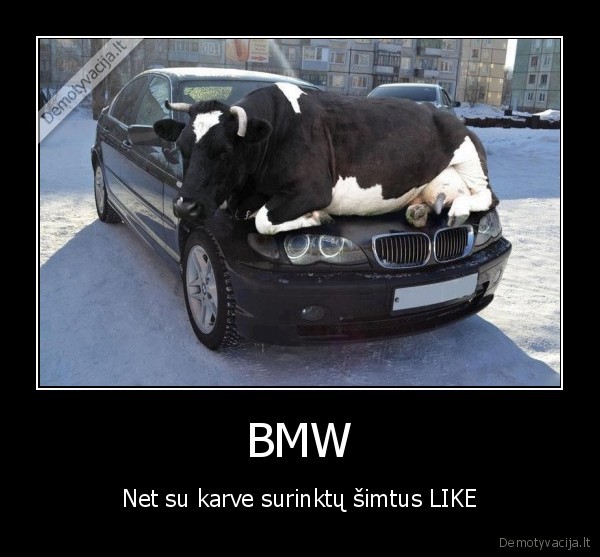 BMW - Net su karve surinktų šimtus LIKE