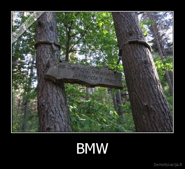 BMW - 