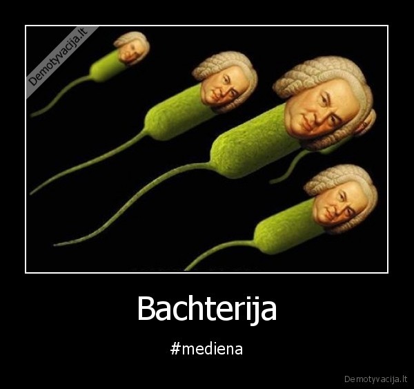 Bachterija - #mediena