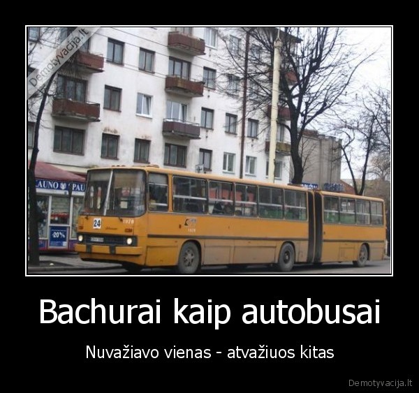 Bachurai kaip autobusai - Nuvažiavo vienas - atvažiuos kitas