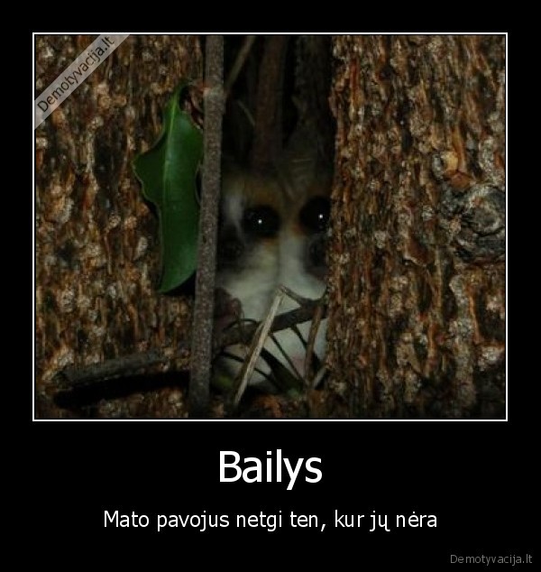 Bailys - Mato pavojus netgi ten, kur jų nėra