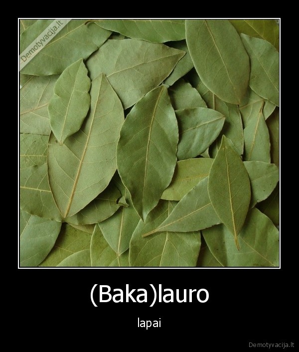 (Baka)lauro - lapai