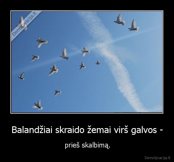 Balandžiai skraido žemai virš galvos - - prieš skalbimą.