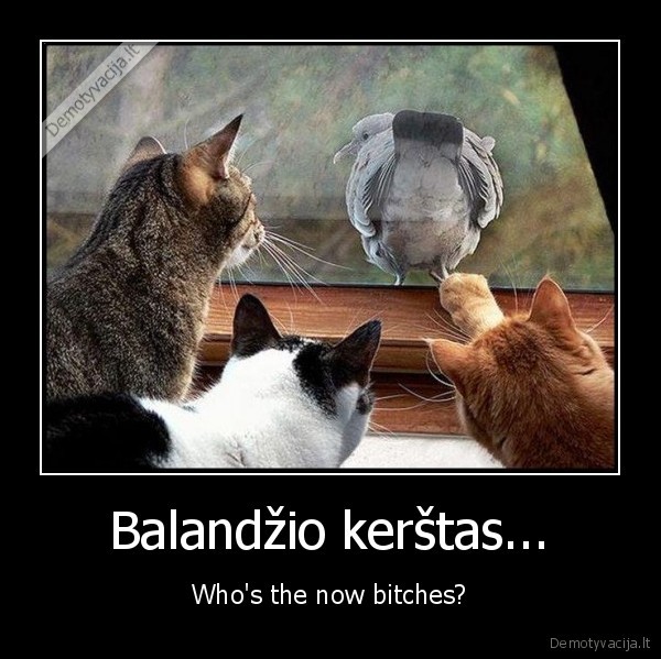 Balandžio kerštas... - Who's the now bitches?