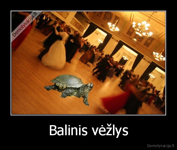 Balinis vėžlys - 