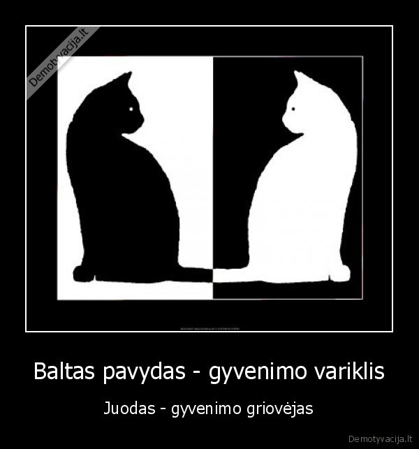 Baltas pavydas - gyvenimo variklis - Juodas - gyvenimo griovėjas