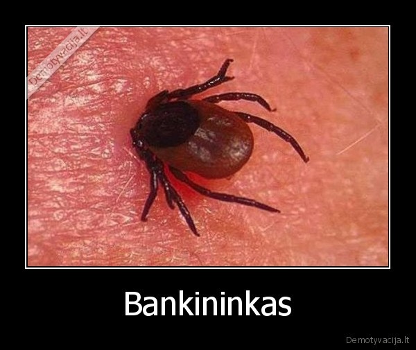 Bankininkas - 