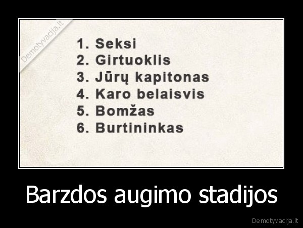 Barzdos augimo stadijos - 