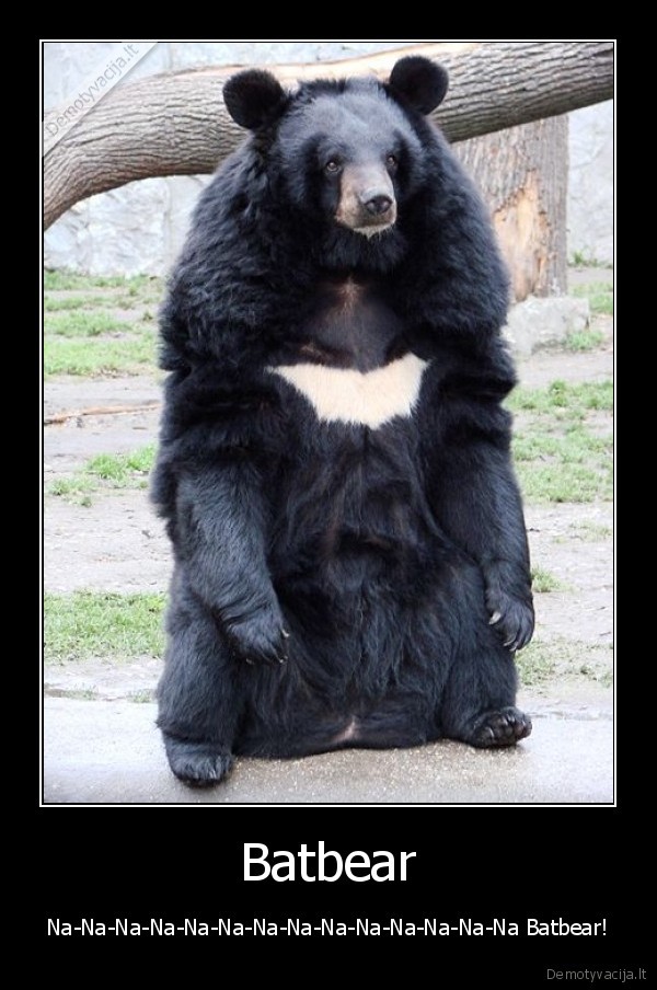 Batbear - Na-Na-Na-Na-Na-Na-Na-Na-Na-Na-Na-Na-Na-Na Batbear!