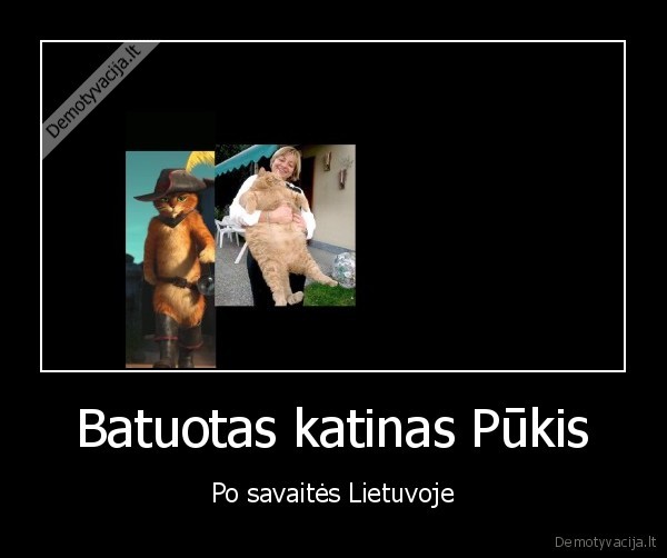 Batuotas katinas Pūkis - Po savaitės Lietuvoje