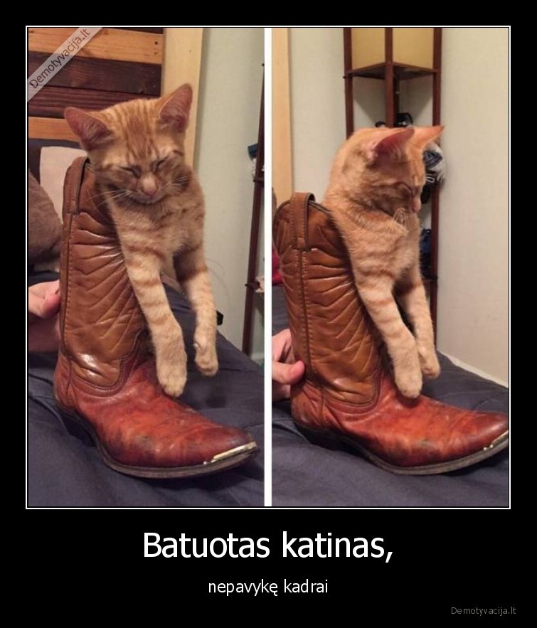 Batuotas katinas, - nepavykę kadrai