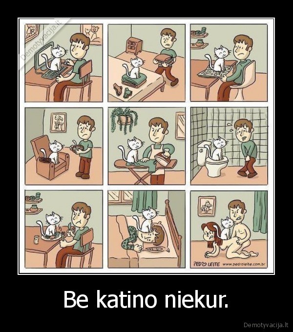 Be katino niekur. - 