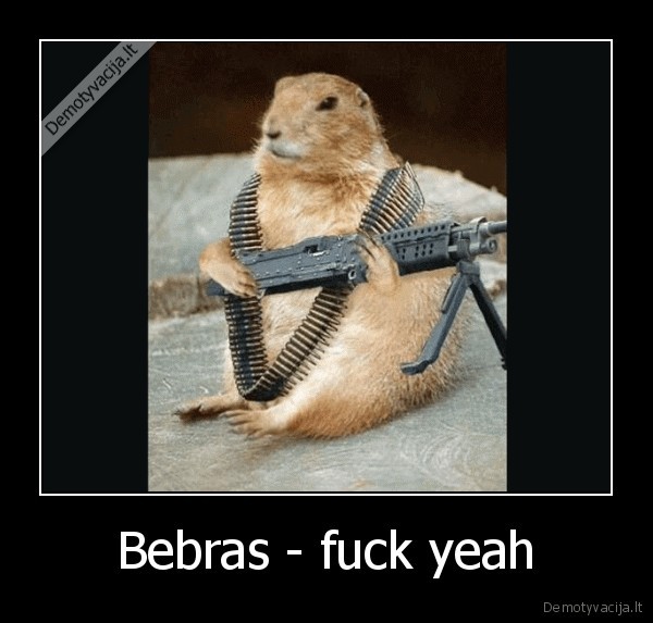 Bebras - fuck yeah - 