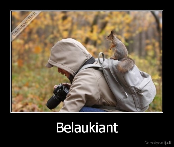 Belaukiant - 