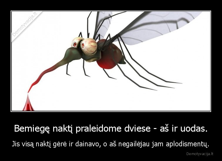 Bemiegę naktį praleidome dviese - aš ir uodas. - Jis visą naktį gėrė ir dainavo, o aš negailėjau jam aplodismentų.