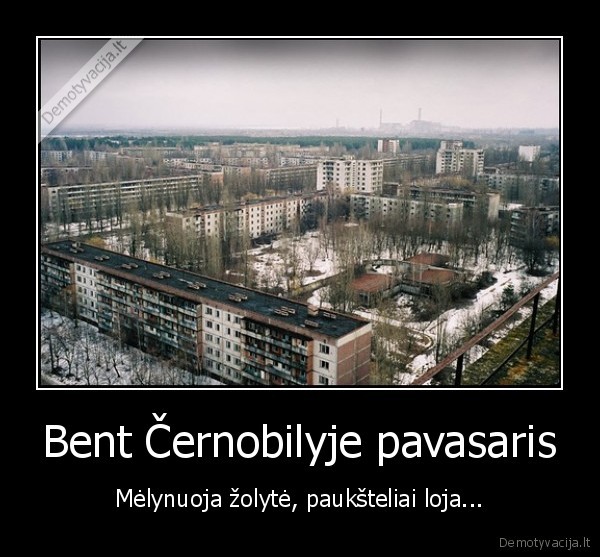 Bent Černobilyje pavasaris - Mėlynuoja žolytė, paukšteliai loja...