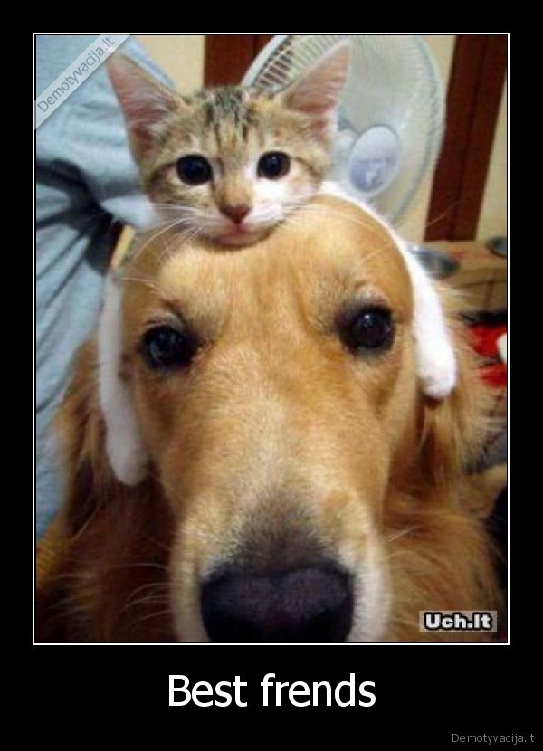 Best frends - 