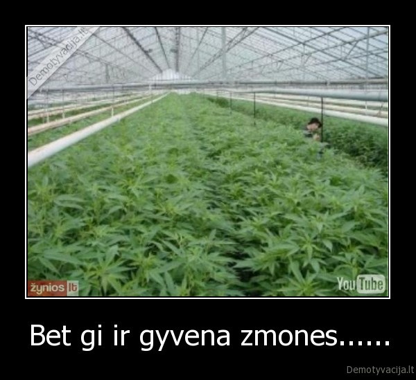 Bet gi ir gyvena zmones...... - 