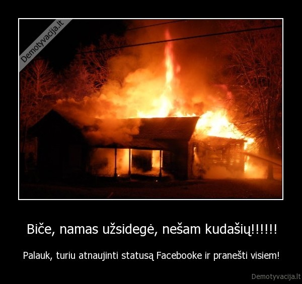 Biče, namas užsidegė, nešam kudašių!!!!!! - Palauk, turiu atnaujinti statusą Facebooke ir pranešti visiem!