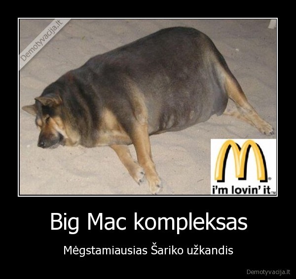 Big Mac kompleksas - Mėgstamiausias Šariko užkandis