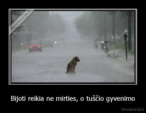 Bijoti reikia ne mirties, o tuščio gyvenimo - 