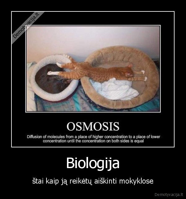 Biologija - štai kaip ją reikėtų aiškinti mokyklose