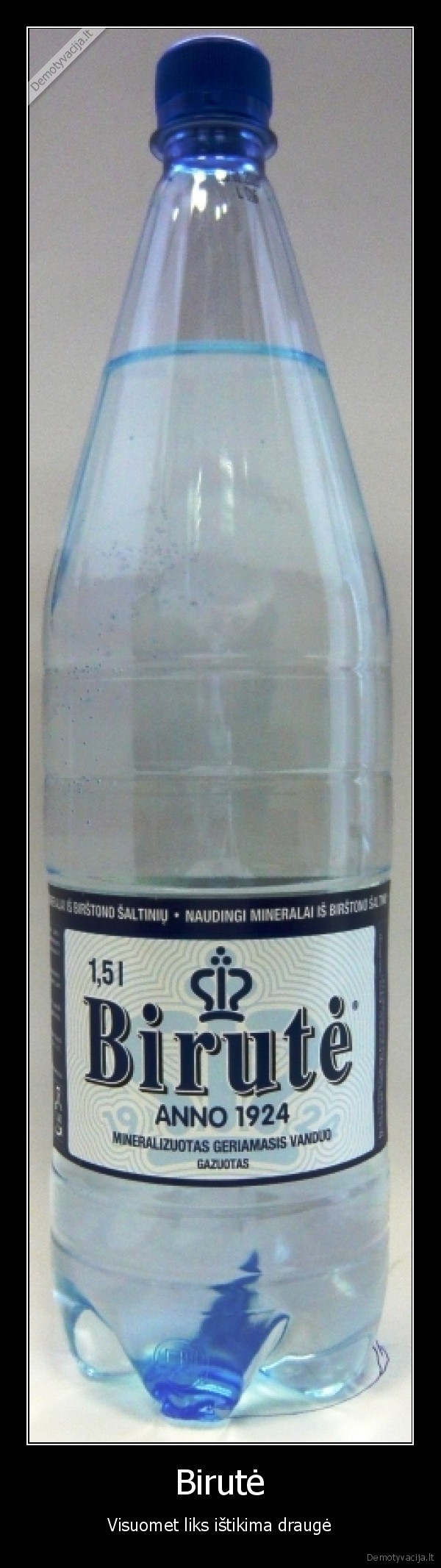 Birutė - Visuomet liks ištikima draugė