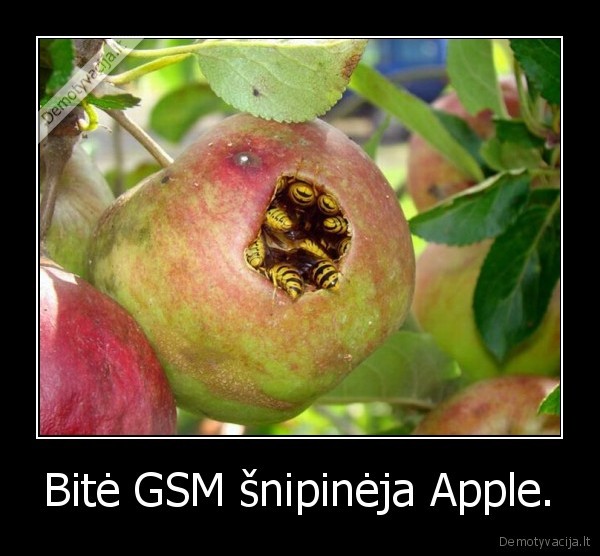 Bitė GSM šnipinėja Apple. - 