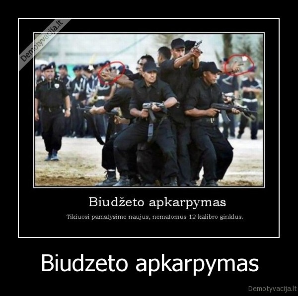 Biudzeto apkarpymas - 