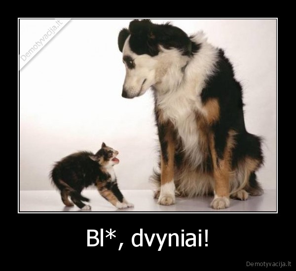 Bl*, dvyniai! - 