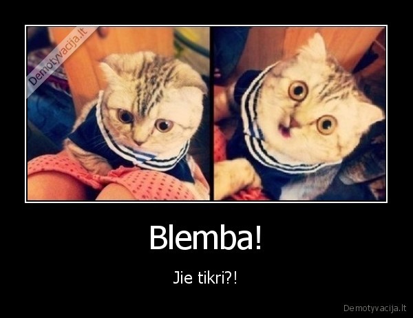 Blemba! - Jie tikri?!