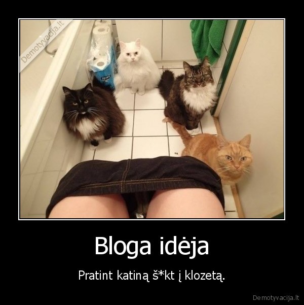 Bloga idėja - Pratint katiną š*kt į klozetą.