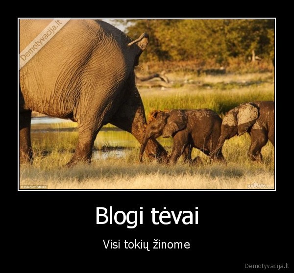 Blogi tėvai - Visi tokių žinome