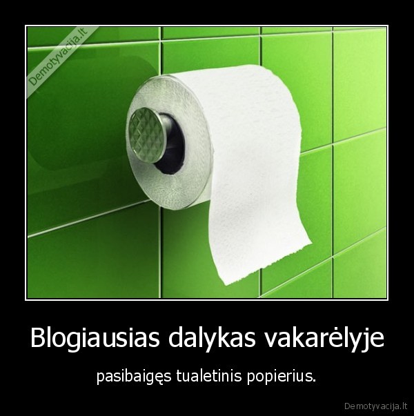 Blogiausias dalykas vakarėlyje - pasibaigęs tualetinis popierius.