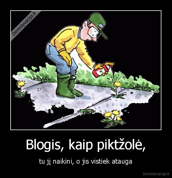 Blogis, kaip piktžolė, - tu jį naikini, o jis vistiek atauga