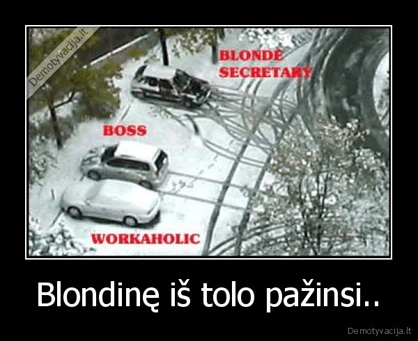 Blondinę iš tolo pažinsi.. - 