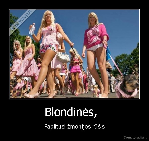 Blondinės,   - Paplitusi žmonijos rūšis