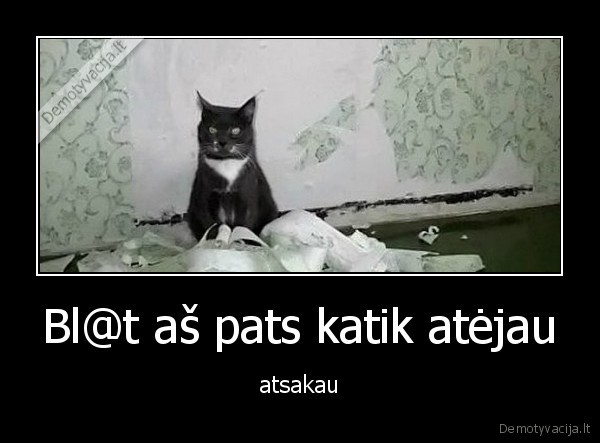 Bl@t aš pats katik atėjau - atsakau