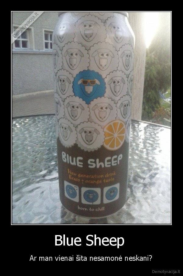 Blue Sheep  - Ar man vienai šita nesamonė neskani?
