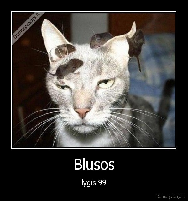 Blusos - lygis 99