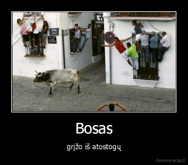 Bosas - grįžo iš atostogų