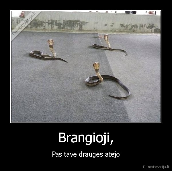 Brangioji, - Pas tave draugės atėjo