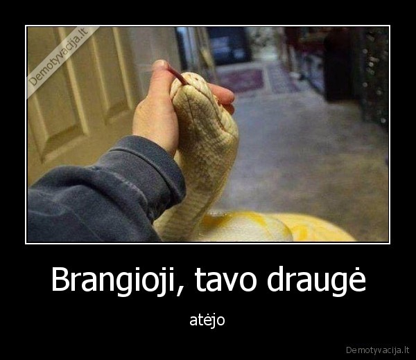 Brangioji, tavo draugė - atėjo