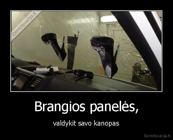 Brangios panelės, - valdykit savo kanopas