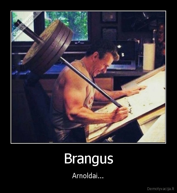 Brangus - Arnoldai...