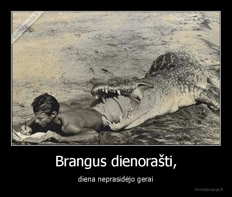 Brangus dienorašti, - diena neprasidėjo gerai